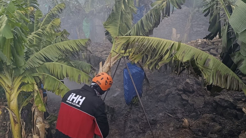 MUZ BAHÇESİNDE YANGIN