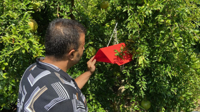 NAR ÜRETİCİLERİNE UYARI!