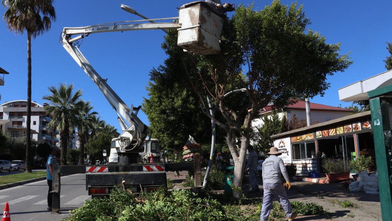 GAZİPAŞA’NIN YEŞİL ALANLARI GÜZELLEŞİYOR 