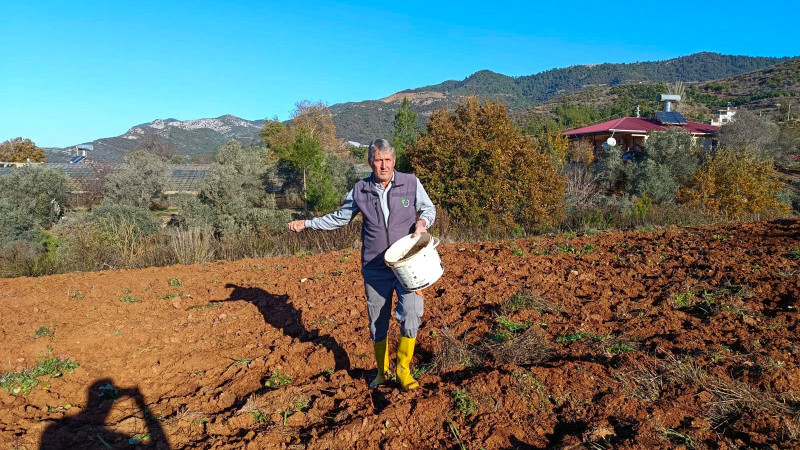 ATA TOHUMLARI TOPRAKLA BULUŞTU