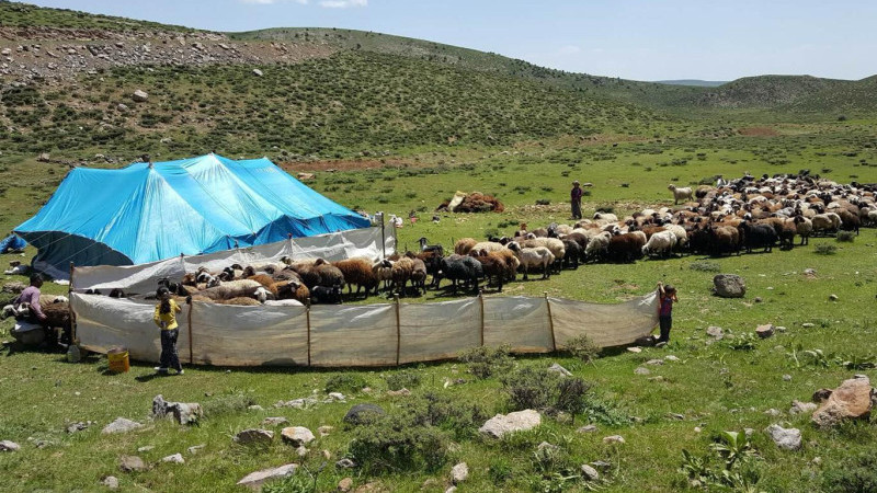 Otlatma takvimi açıklandı